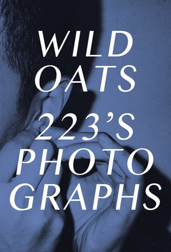https://www.linzhipeng223.com/files/gimgs/20_wildoats-01.jpg