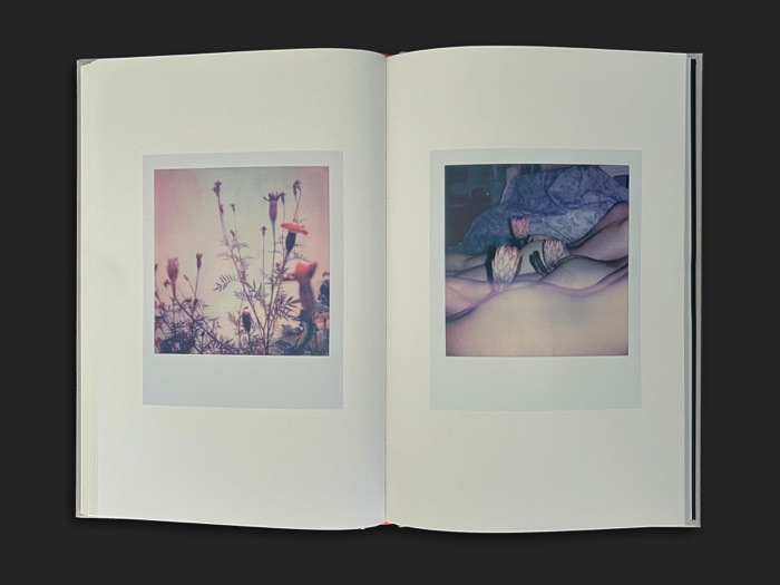 https://www.linzhipeng223.com/files/gimgs/30_123polaroids06.jpg