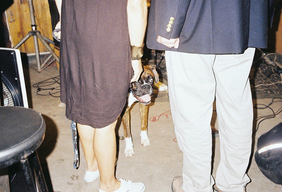 https://www.linzhipeng223.com/files/gimgs/31_23.jpg