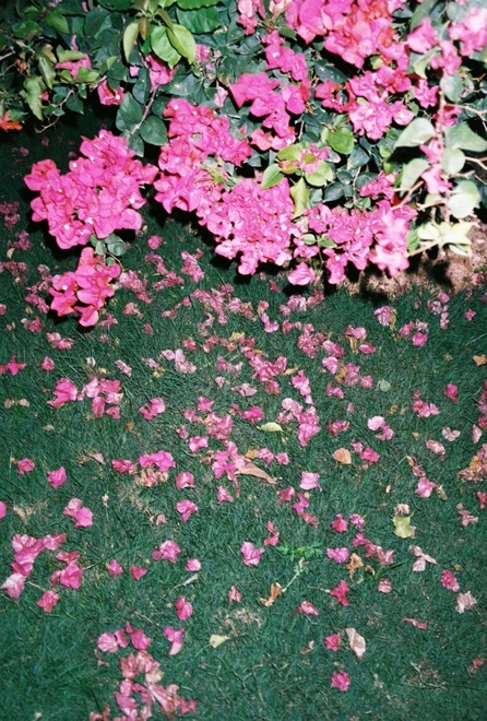 https://www.linzhipeng223.com/files/gimgs/34_25.jpg