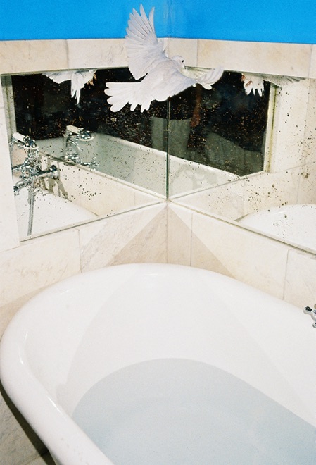 https://www.linzhipeng223.com/files/gimgs/35_grand-amour-white-dove.jpg