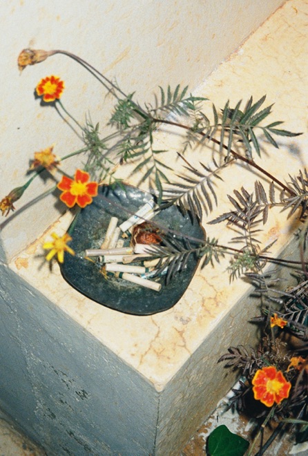 https://www.linzhipeng223.com/files/gimgs/36_01.jpg