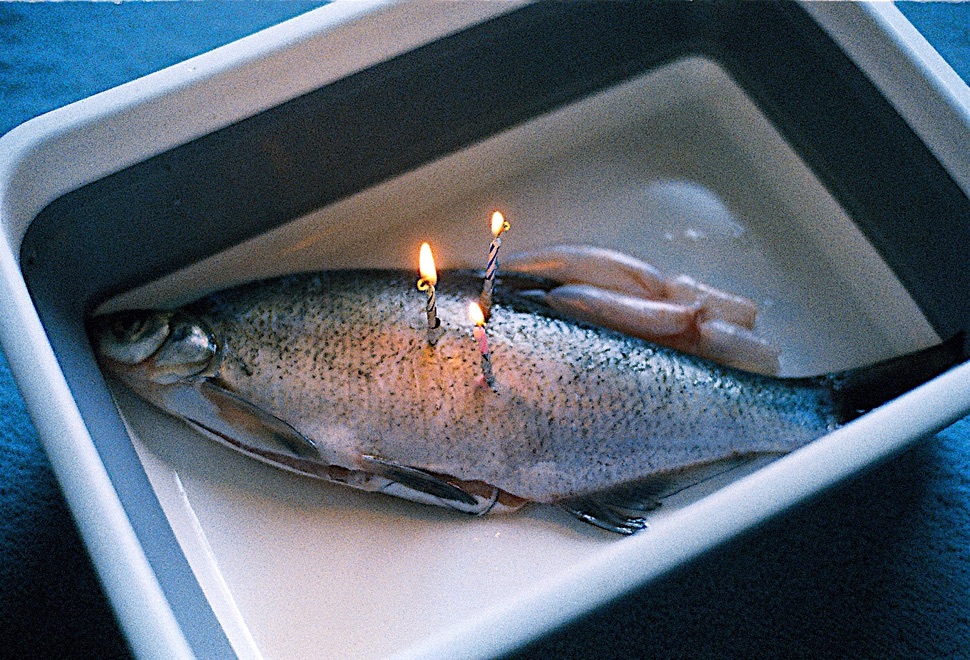 https://www.linzhipeng223.com/files/gimgs/36_03.jpg