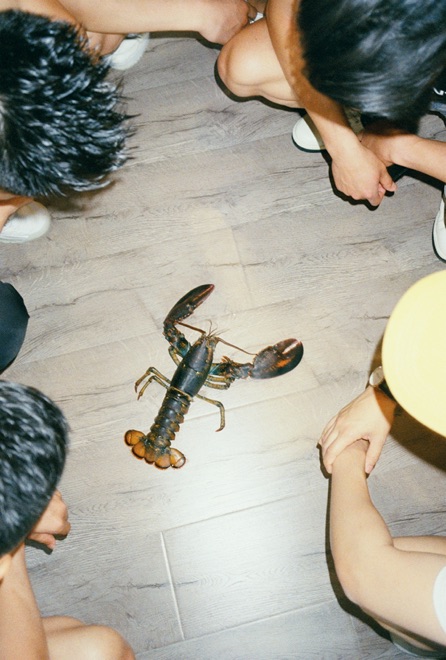 https://www.linzhipeng223.com/files/gimgs/36_25.jpg