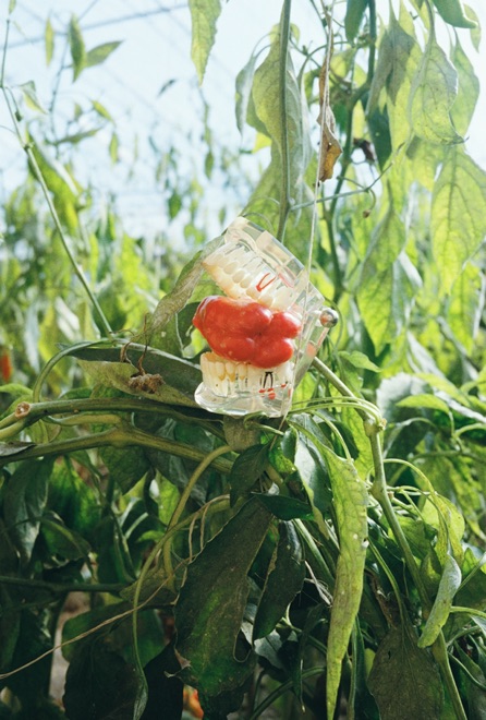 https://www.linzhipeng223.com/files/gimgs/36_29.jpg