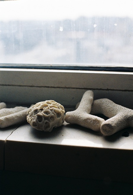 https://www.linzhipeng223.com/files/gimgs/36_37.jpg