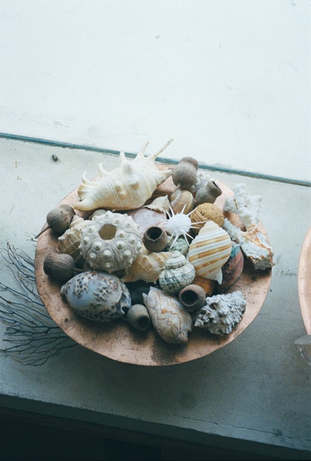 https://www.linzhipeng223.com/files/gimgs/36_51.jpg