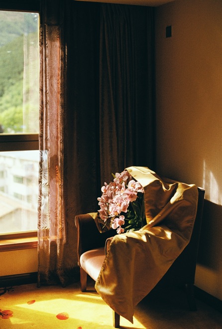 https://www.linzhipeng223.com/files/gimgs/37_04.jpg