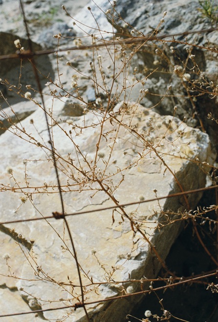 https://www.linzhipeng223.com/files/gimgs/37_14.jpg