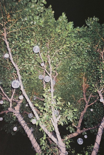 https://www.linzhipeng223.com/files/gimgs/6_0058.jpg
