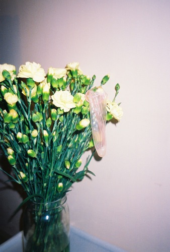 https://www.linzhipeng223.com/files/gimgs/7_022.jpg